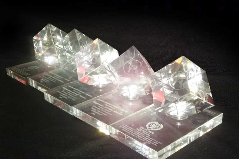 Glasvan wins Great Dane sales awards article image