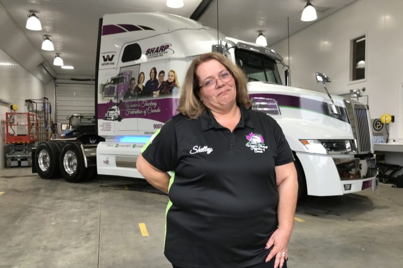 Guiding Star, Shelley's Destiny article image