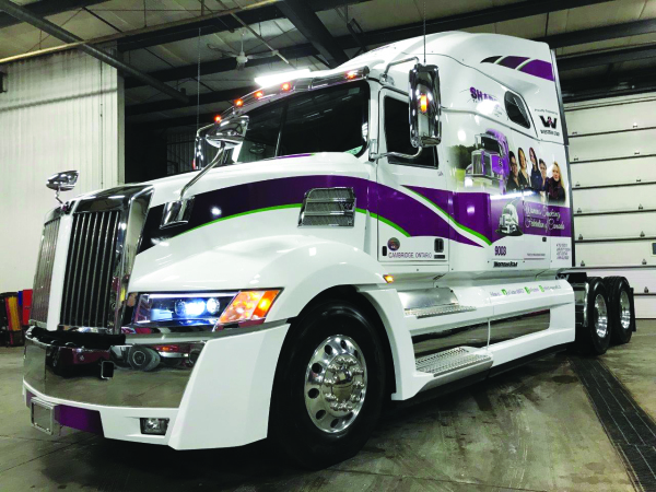 destiny star inside alternate text for this image