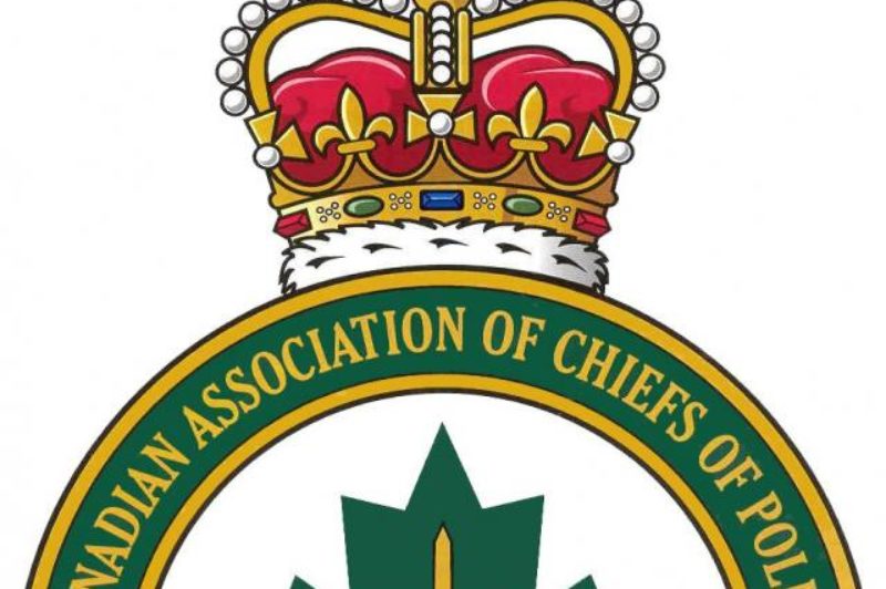 Road Safety Week focusing on dangerous D's article image