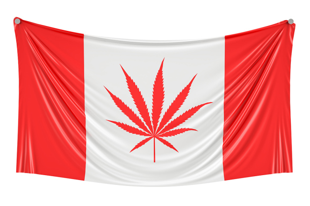 Legalization of cannabis in Canada. Canadian flag with marijuana leaf hanging on the wall, 3D rendering alternate text for this image