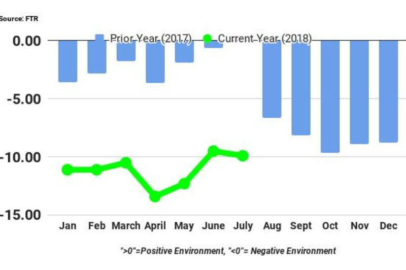 Shipper conditions unchanged in July article image