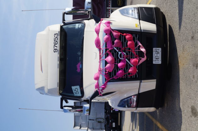 16 alternate text for this image