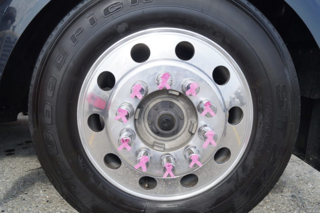 2 alternate text for this image