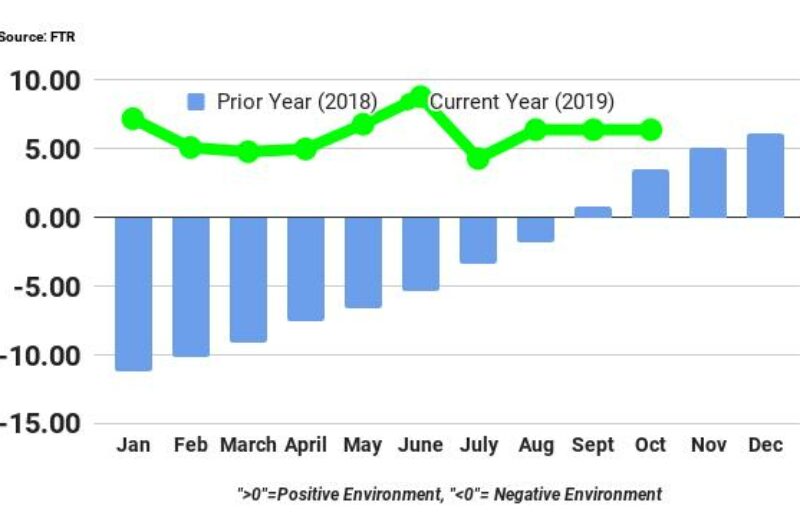 Shippers continue to enjoy positive conditions article image