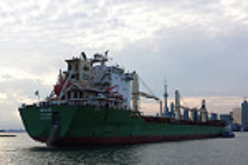 Final Surge at Ports Before St. Lawrence Seaway Season Ends article image