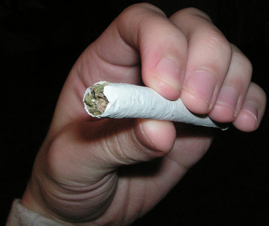 Doobie alternate text for this image
