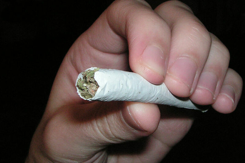 Medical Marijuana Focus of PMTC Seminar article image