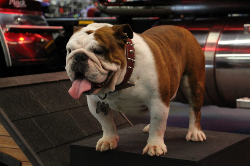 Mack Barks 25,000 Telematics Connections article image