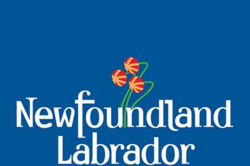 NL Makes Defence Licence Equal to Commercial Licence article image