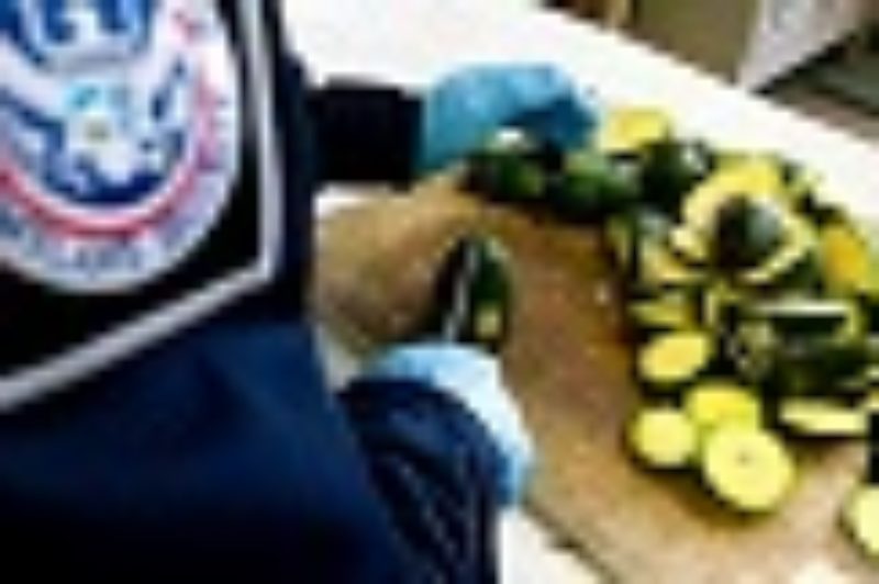 CTA Speaks Out Against Agriculture Inspection Fee Raise article image