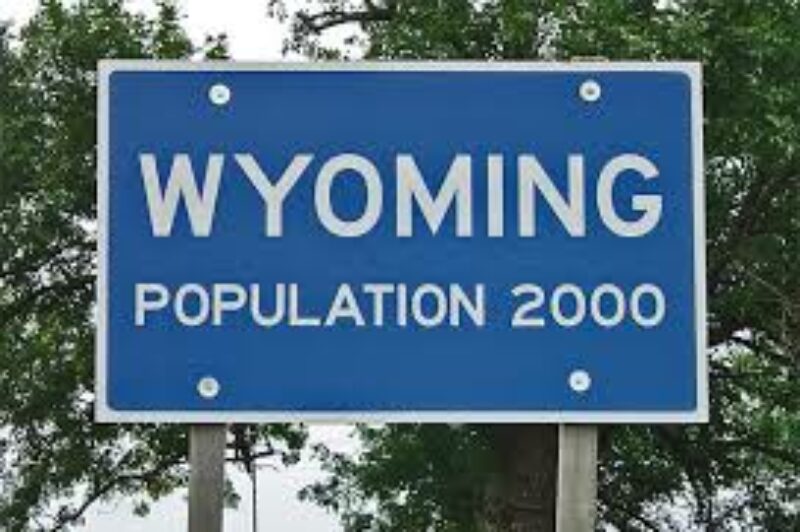 Trucker and farmer dinged for deadstock disposal article image