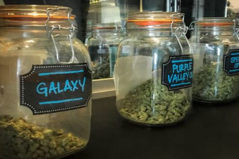 Collision claims higher where pot's legal article image