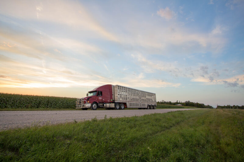 Steve's Livestock truck