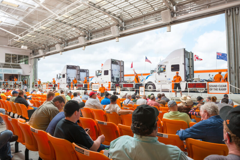 Ritchie Bros auction