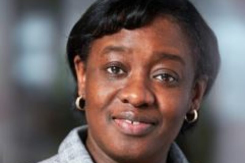 Lion Electric names Isabelle Adjahi VP article image