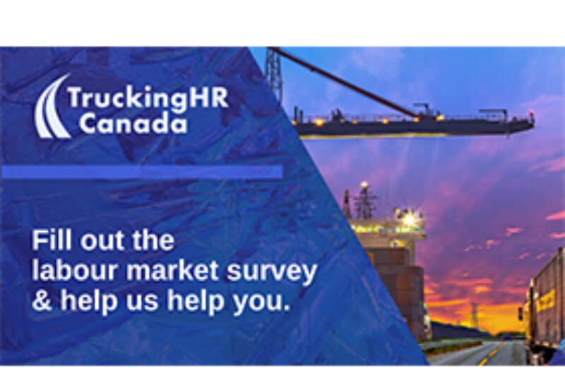 Labor market survey for employers launched article image