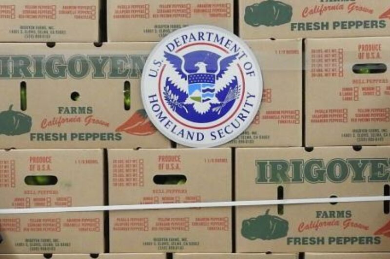 Woman caught with cocaine in truck at border article image