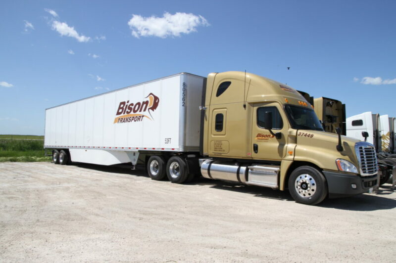 Bison Transport