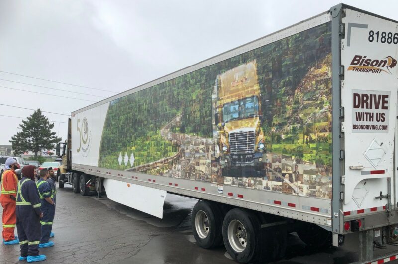 Bison celebrates 50th anniversary article image