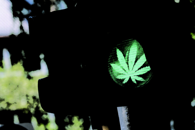 traffic light with Marijuana or cannabis sign alternate text for this image