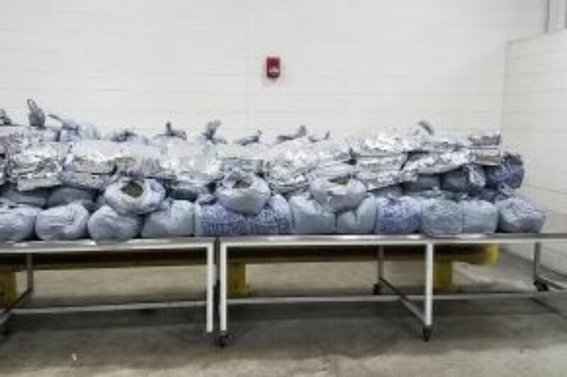 CBP seizes 440 pounds of khat from truck article image