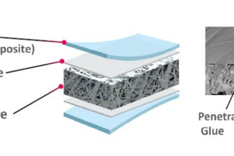 हुंडाई ट्रांसलेड के भार में कमी, ट्रेलर पैनल जारी article image