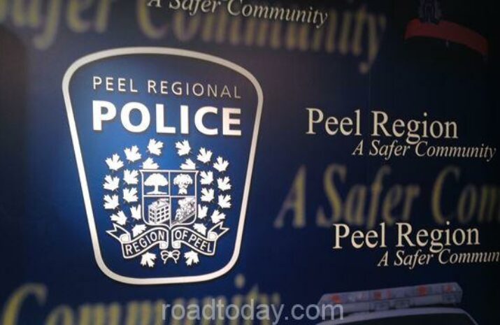Peel Police bust re-VINning operation article image