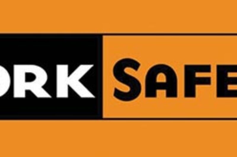 ਵਰਕਸੇਫ਼ ਬੀ.ਸੀ. ਦੇ ਨਵੇਂ ਵੀਡੀਓ ਅਤੇ ਸੂਚਨਾ ਸ਼ੀਟਸ 'ਚ ਡਰਾਈਵਰ ਸੁਰੱਖਿਆ 'ਤੇ ਜ਼ੋਰ article image