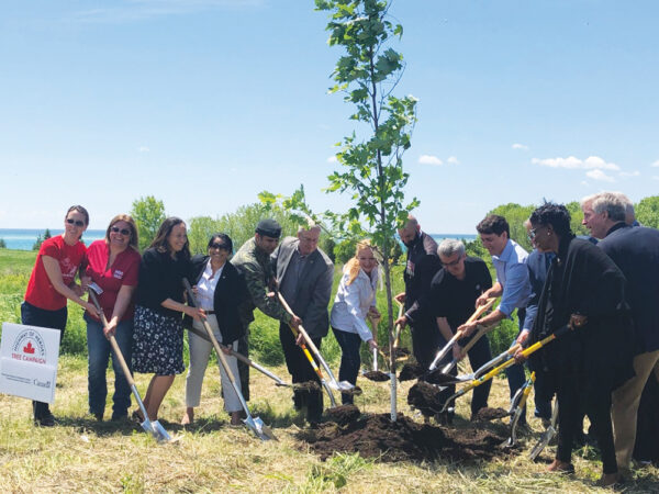 volvo-tree-planting_RoadToday alternate text for this image