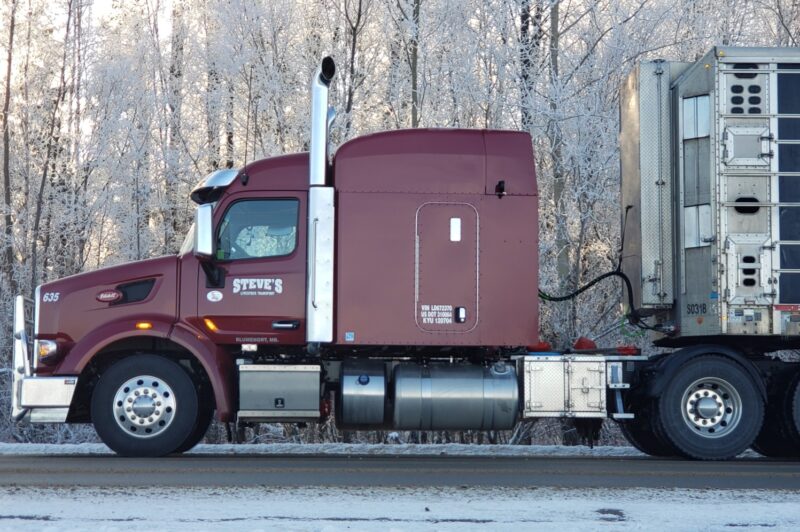 Steve's Livestock truck on side of road