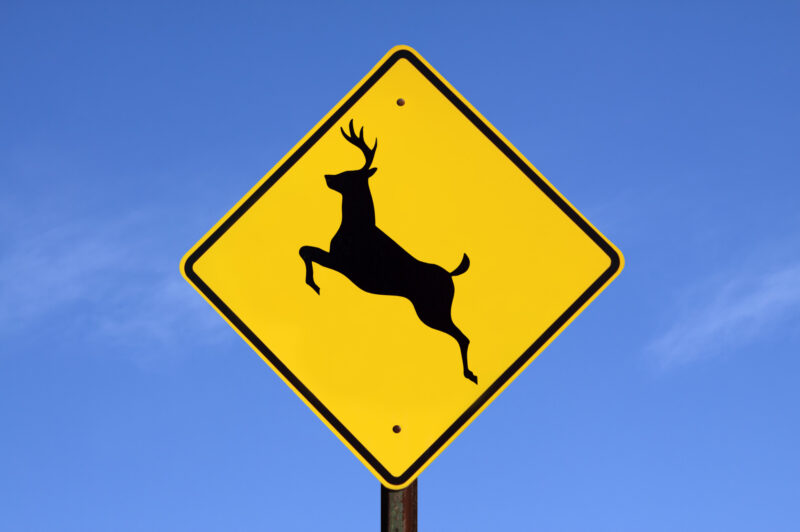 deer crossing sign