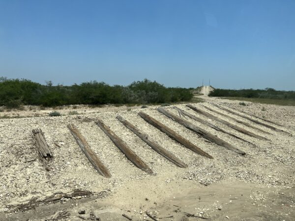 TN-Conti 5 credit Jim Park alternate text for this image