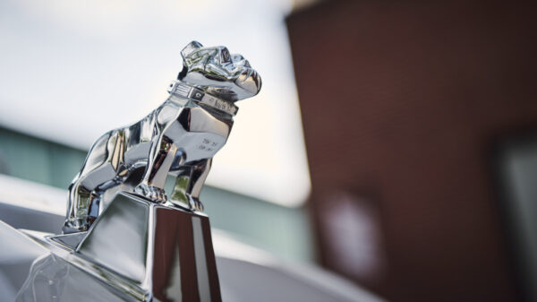 Mack bulldog