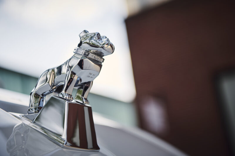 Mack bulldog