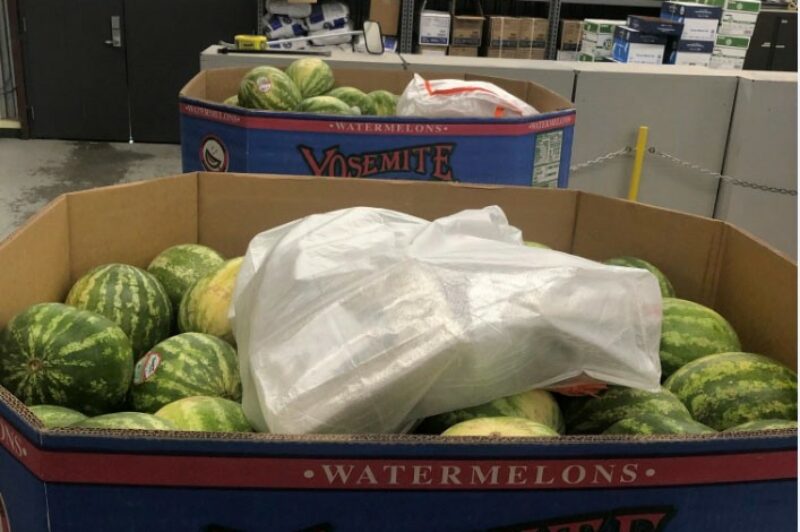 Cocaine found in watermelon pallets