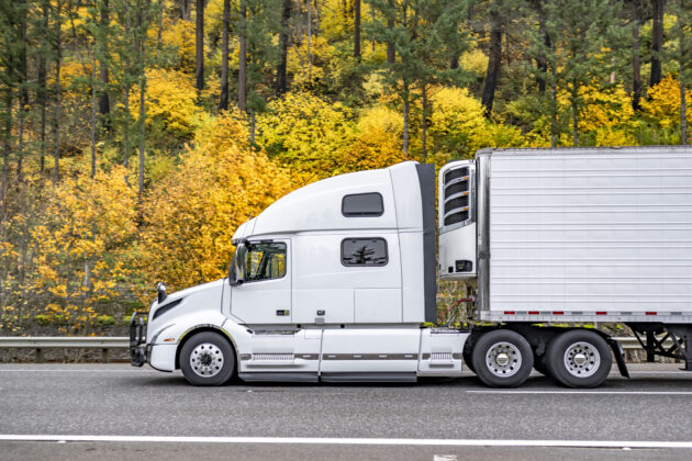 Industrial grade white big rig bonnet semi truck transporting cargo in reefer semi trailer running on the wide highway road with autumn yellow forest on the hill alternate text for this image