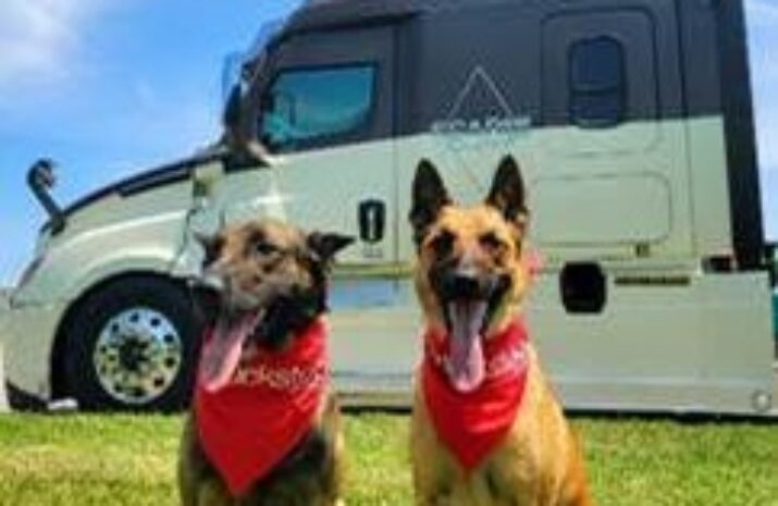 Truckstop introduces pet verification badge amid Take Your Pet to Work week article image