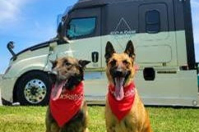 Truckstop introduces pet verification badge amid Take Your Pet to Work week article image