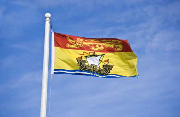 Picture of New Brunswick flag on a flagpole