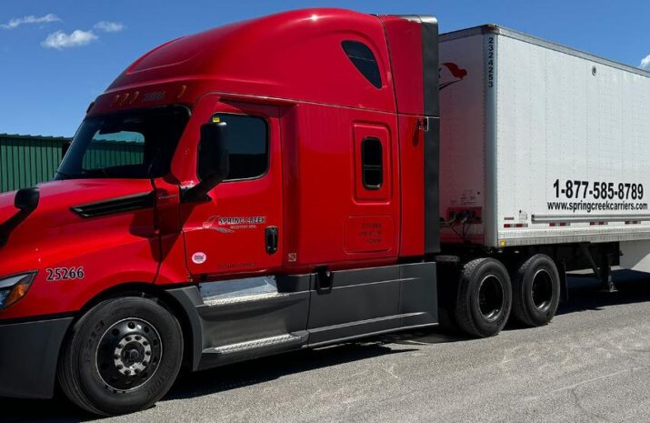 Small carriers facing big challenges in down market article image
