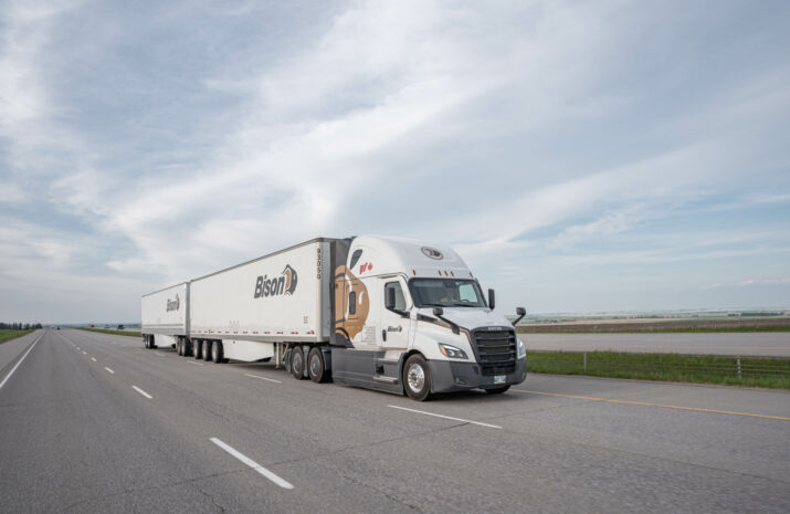 Picture of a Bison Transport LCV