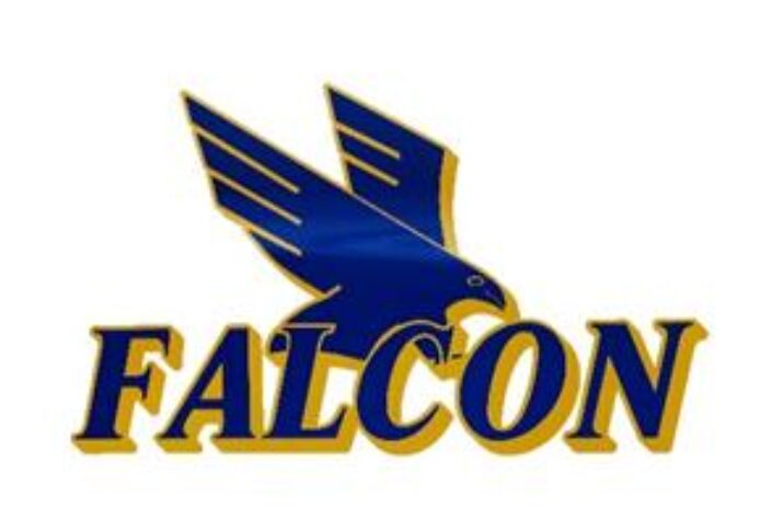 UPDATED: Falcon Xpress exits receivership article image