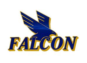 2026 Falcon Express Transportation Group logo