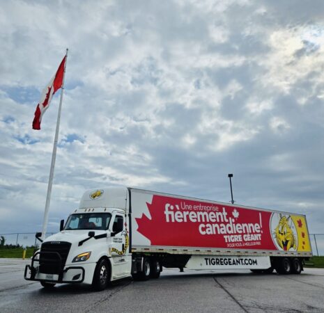 giant tiger 2 alternate text for this image