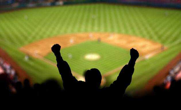 Baseball Excitement Silhouetted baseball fan at a game alternate text for this image