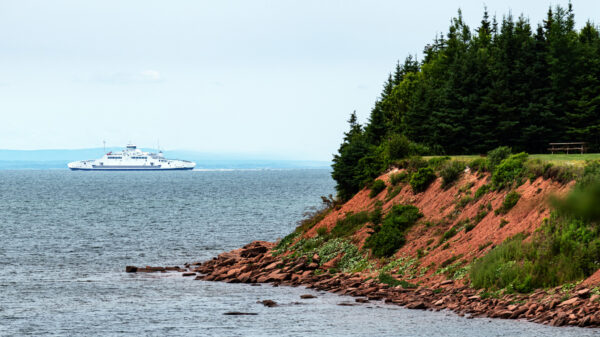 A ferry in the water