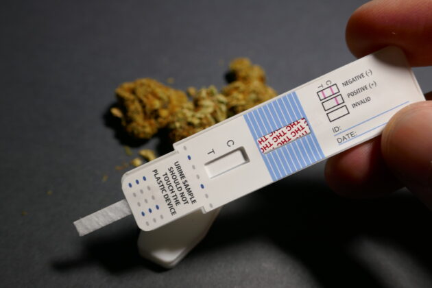 pre-employment screening alternate text for this image