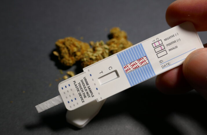 US truck drivers will still be tested for marijuana use article image