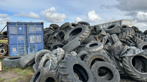 Pile 3 alternate text for this image